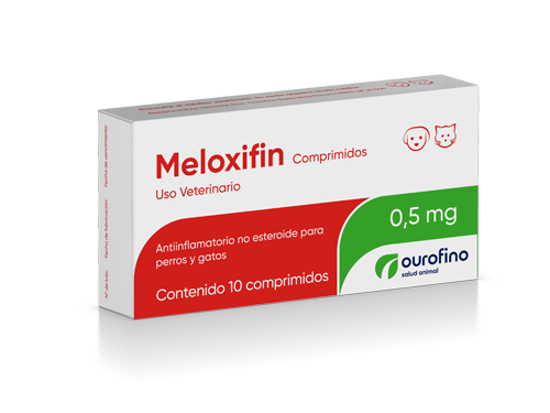 Meloxifin Comprimidos