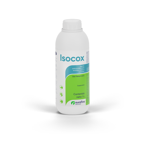 Isocox