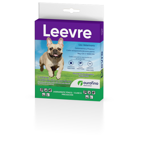 Leevre