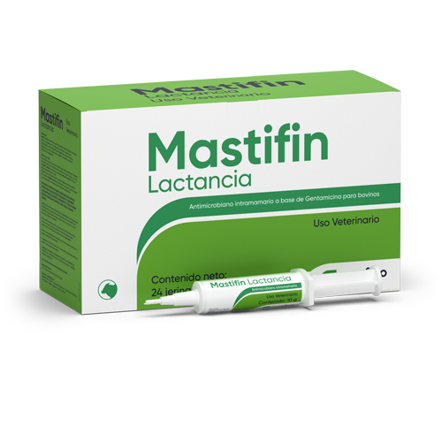 Mastifin Lactancia