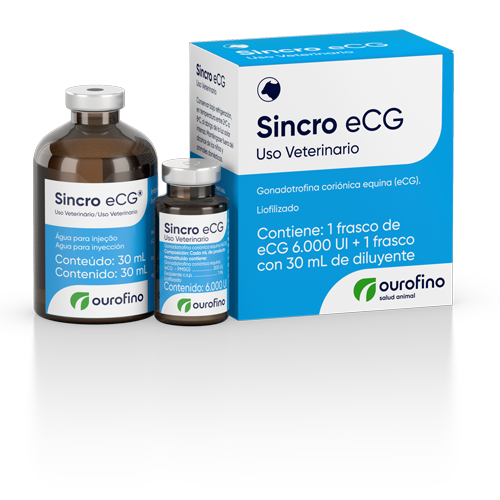 Sincro eCG