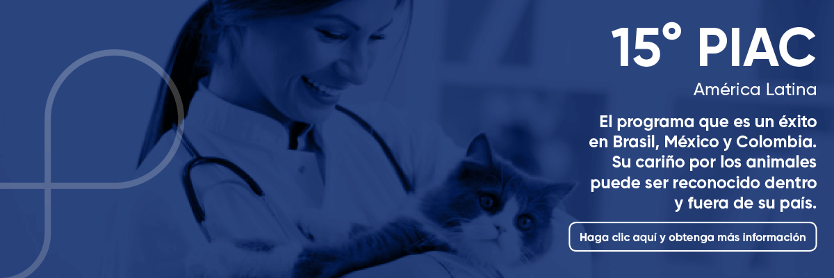 13° PIAC Edición América Latina